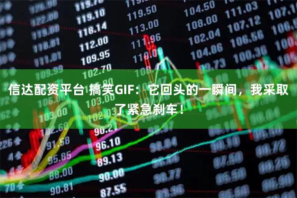 信达配资平台 搞笑GIF:它回头的一瞬间,我采取了紧急刹车!