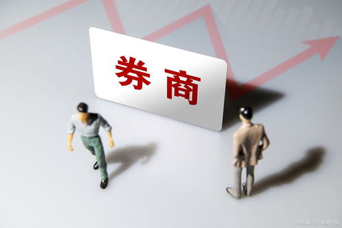 真正的5只主力重仓 券商 蓝筹股, 600061 市值超636亿