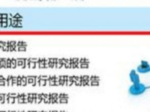 图 可行性研究报告 潮松投资咨询 上海设计策划