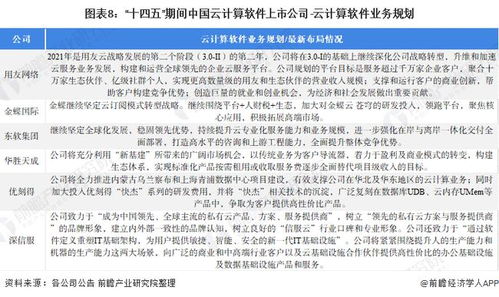 2021年云计算软件行业上市公司全方位对比 附业务布局汇总 业绩对比 业务规划等