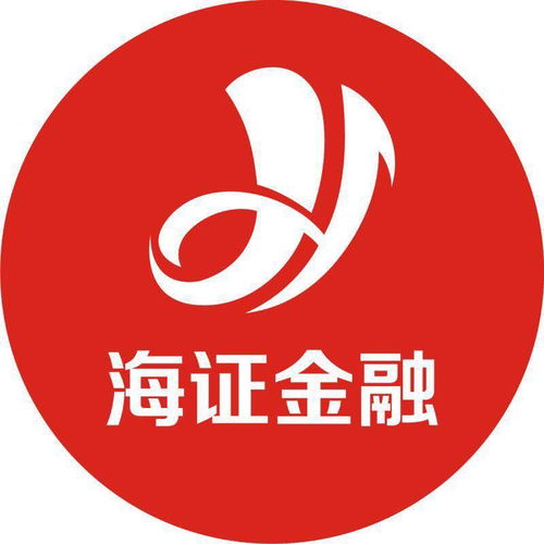 湖南海证投资咨询