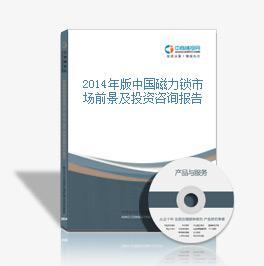 2016-2021年中国磁力锁市场前景及投资机会研究