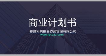 安徽利皖投资咨询管理专业编写商业计划书 可行性节能报告