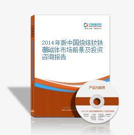 2018-2023年中国烧结钕铁硼磁体市场前景及融资战略咨询报告